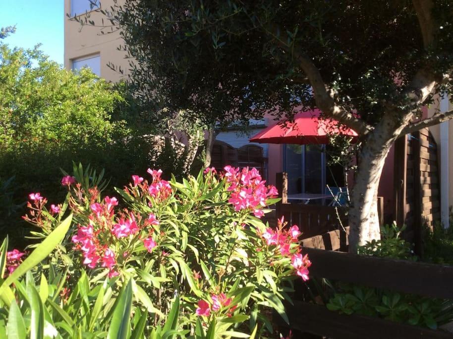 Cap Agde Studio-Cabine Jardin Clos, Port Et Plage Εξωτερικό φωτογραφία